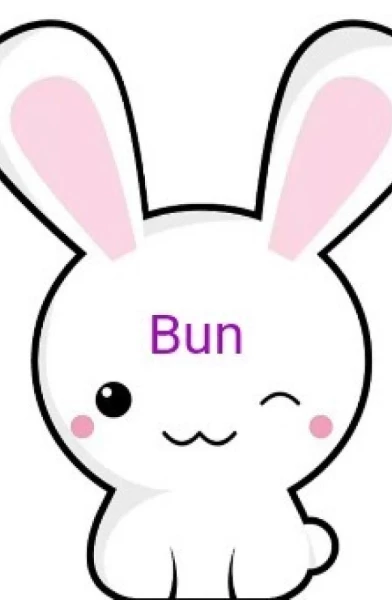 Bun