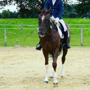 Equestrian Twinkle Boy