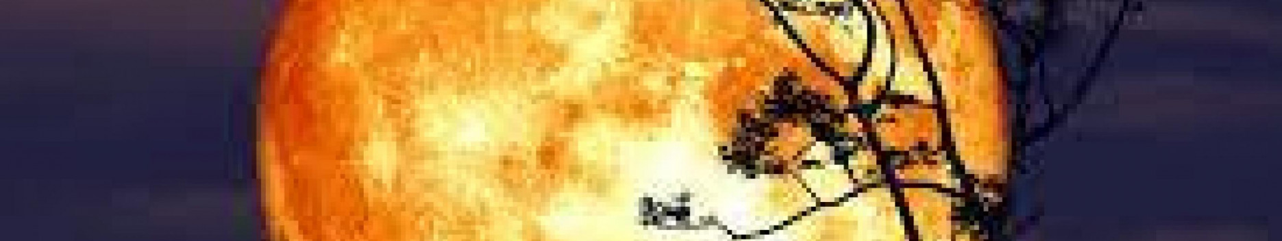 Background Wolfgang Background Wolfgang