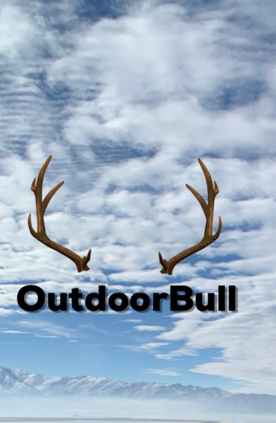 Outdoor Bull