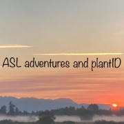 ASL plantID