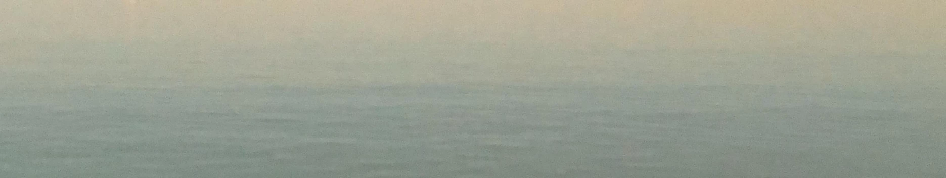 Background PrinceXXX