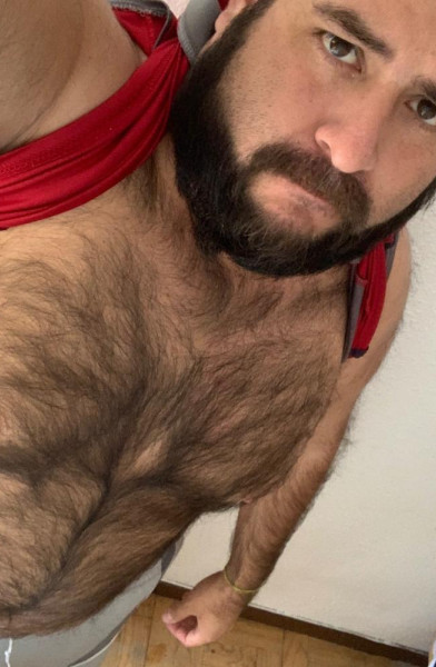 EL OSO JODEDOR 🐻