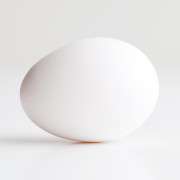 An Egg