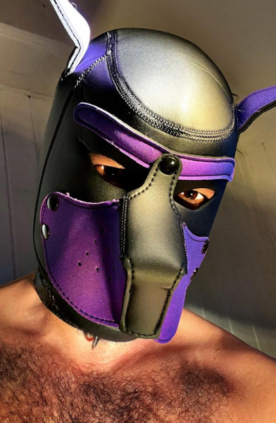 Hot Purple Puppy