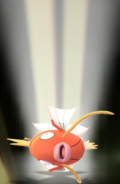 karp karp