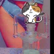 Kitty 👽 Kitty 👽