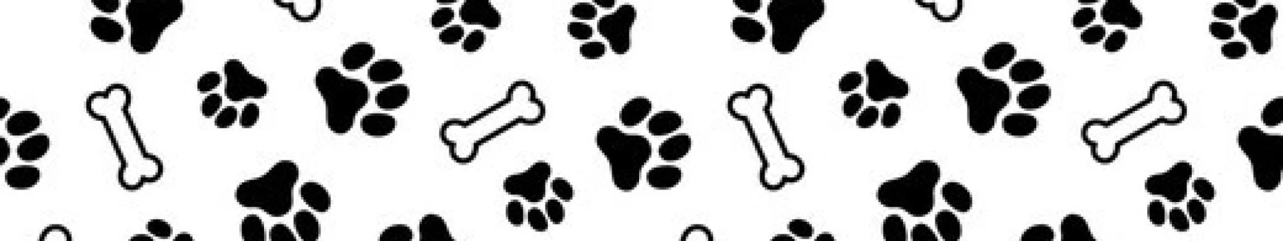 Background Pup PJ Background Pup PJ