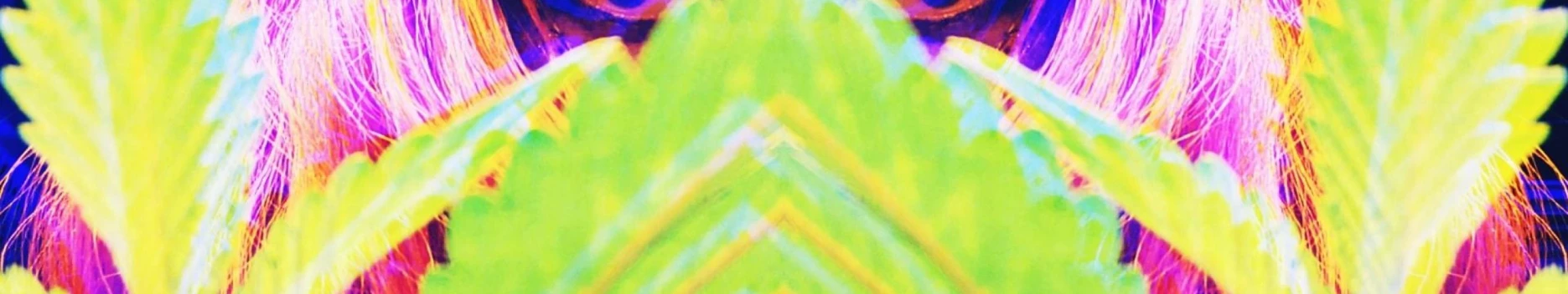 Background Artiface Background Artiface