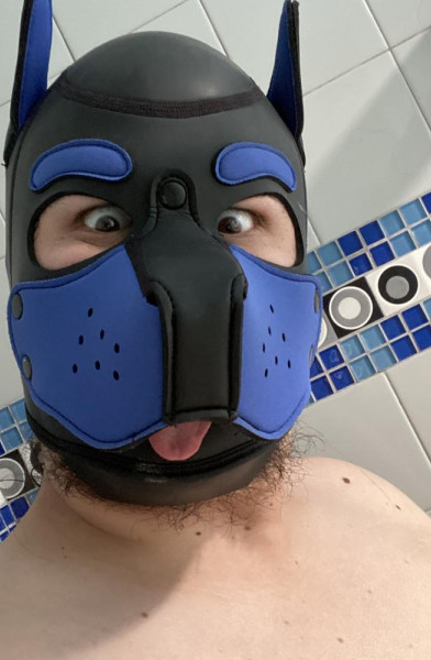 Pup Tobias