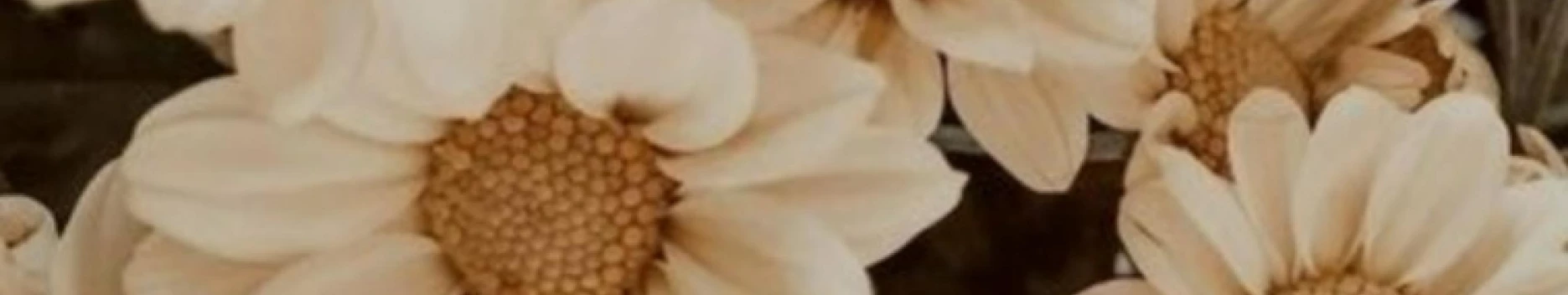 Background Zeth Vargas Sarmiento Background Zeth Vargas Sarmiento