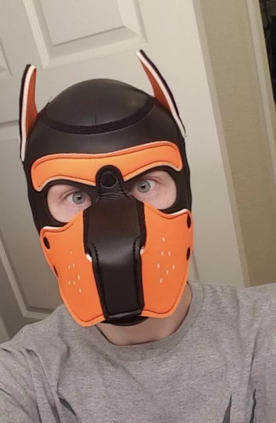 Rainbow Pup