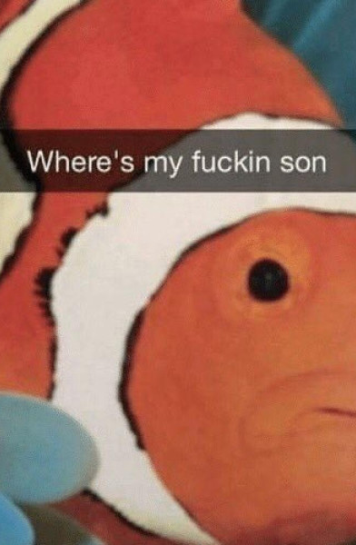 Where’s nemo