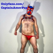 Captain AmeriPup