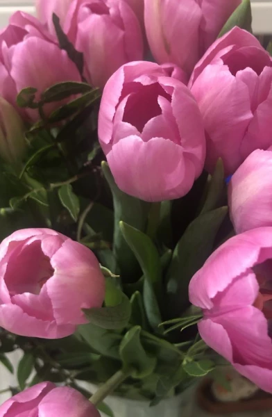 RosePetal