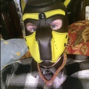 Pup PJ Pup PJ
