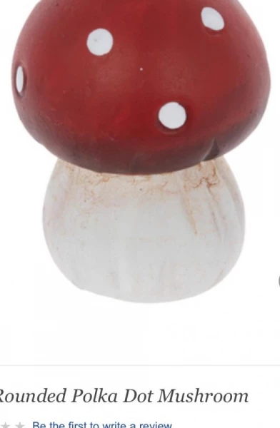 Lady Bug