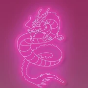 The Pink Dragon The Pink Dragon
