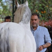 Donal Berto Arango 🐴