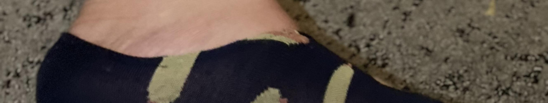 Background Bears feet Background Bears feet